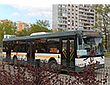 Автобус №15
