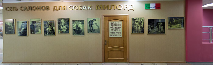 салон для собак "Милорд" на проспекте Космонавтов города Королев