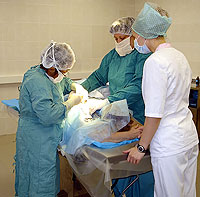 Хирургия в Медико-санитарной части №170 г. Королев