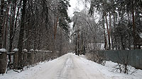 Улица Марины Цветаевой