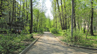 ул. Павлова в г. Королёве