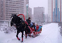 детский сад №16 г.Королев