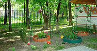 детский сад №34 г. Королева