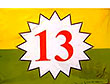 Школа №13