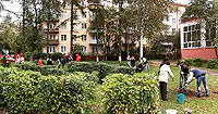 школа №13 (г. Королев, Московская область)