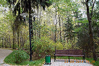 госпиталь им. Мандрыка в г. Королев