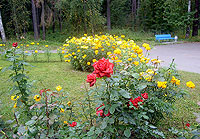 филиал госпиталя им. Мандрыка (Старые Горки, Королев, Московская область)